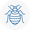 Bed Bug Extermination In Rhymney
